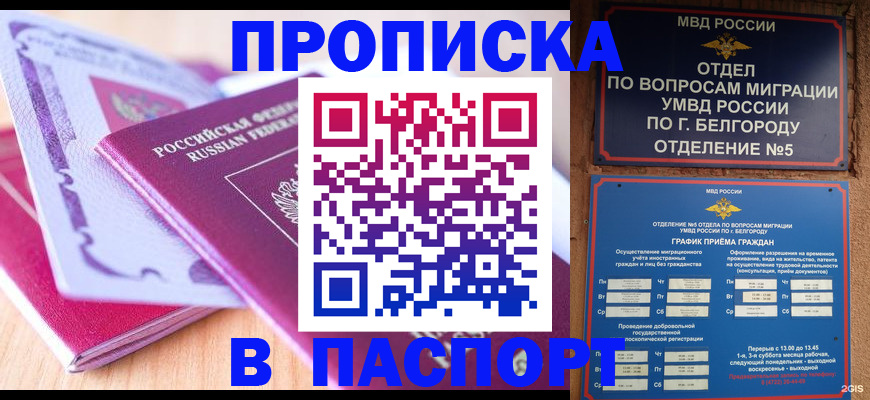 временная регистрация законно в Новоузенске